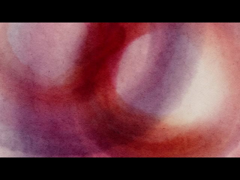 Spring Canvas Loop 05