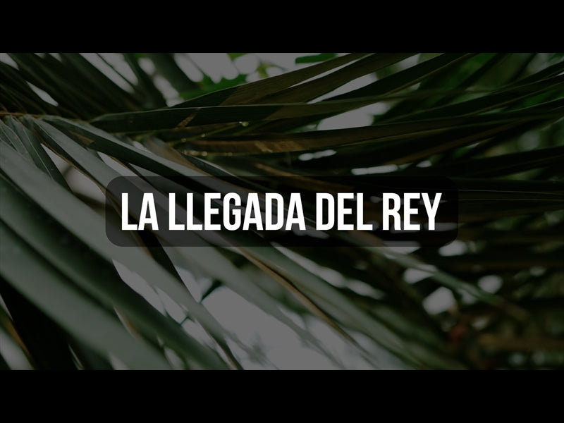 La Llegada Del Rey