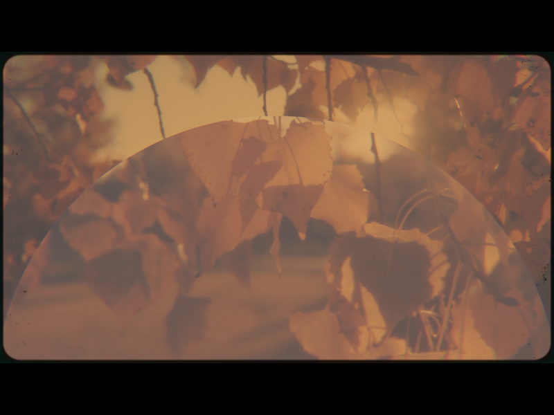 Vintage Fall Loop 04