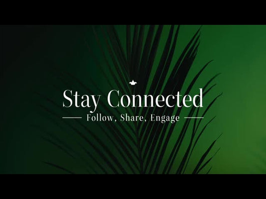 Cinematic Palms Stay Connected