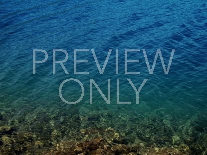 Summer Flow Rocky Shore