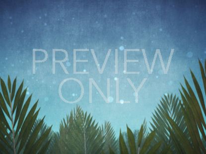 Palm Sunday Epic Scrolling