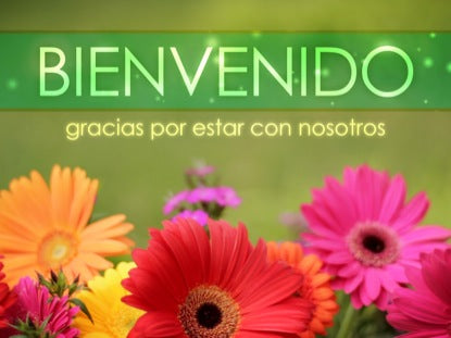 Flores Brillantes Bienvenido