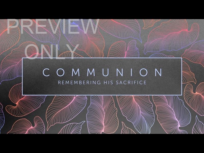 Tropical Night Communion Still