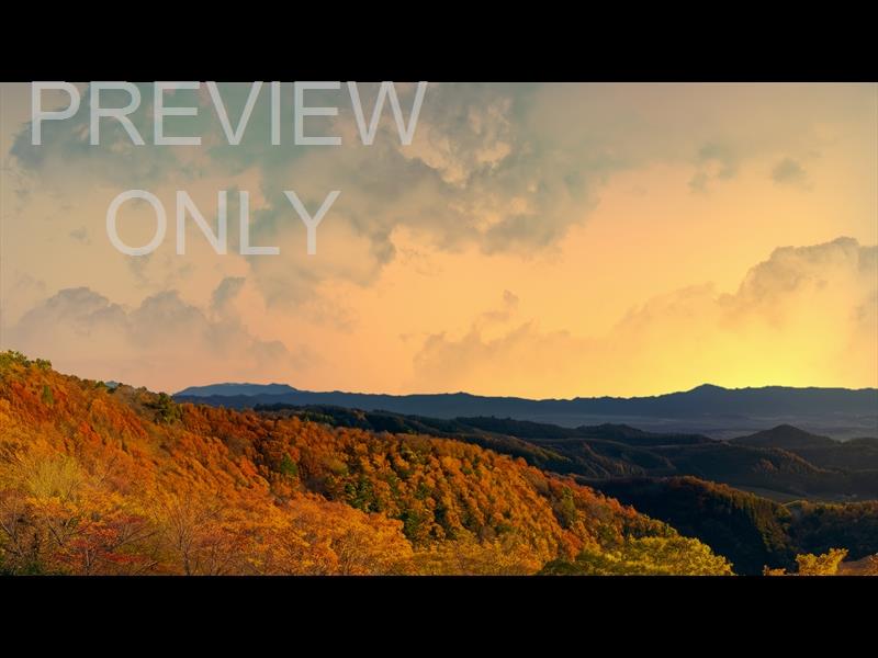 Wilderness Fall 6 Still