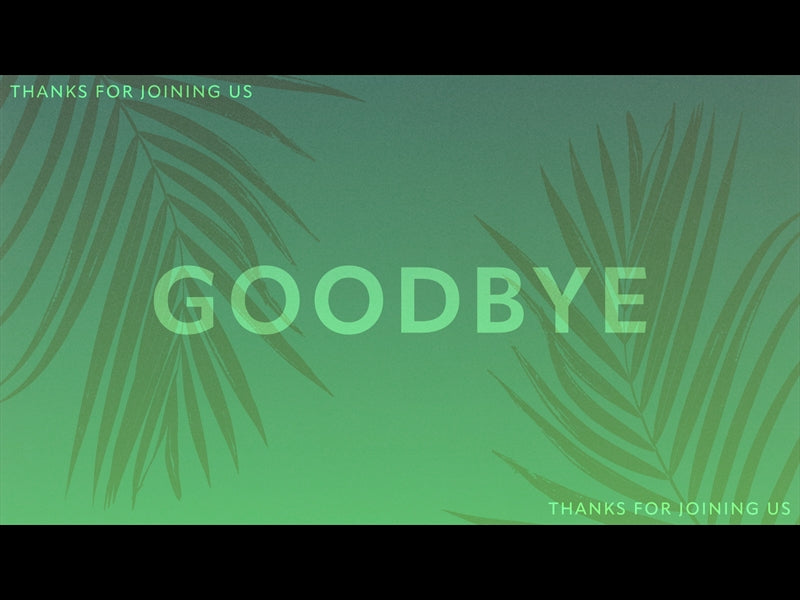 Risen Palms Goodbye