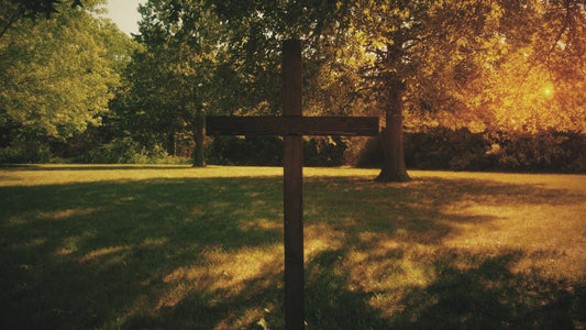 Cross 6 Still