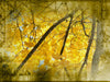 Grunge Fall Motion Background 3