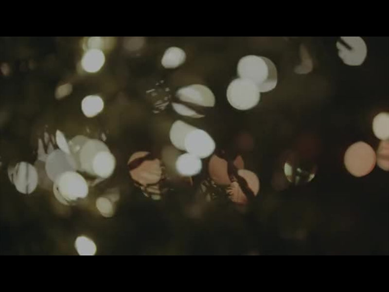 Christmas Lights: 01