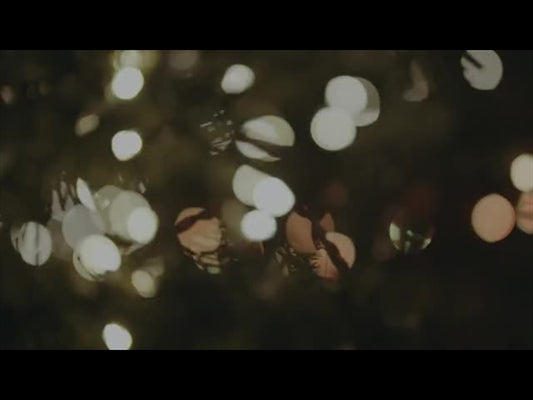 Christmas Lights: 01