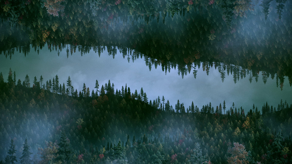 Ridgeline Fall 11 Remix