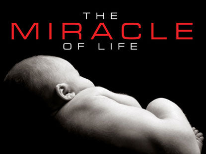 The Miracle Of Life
