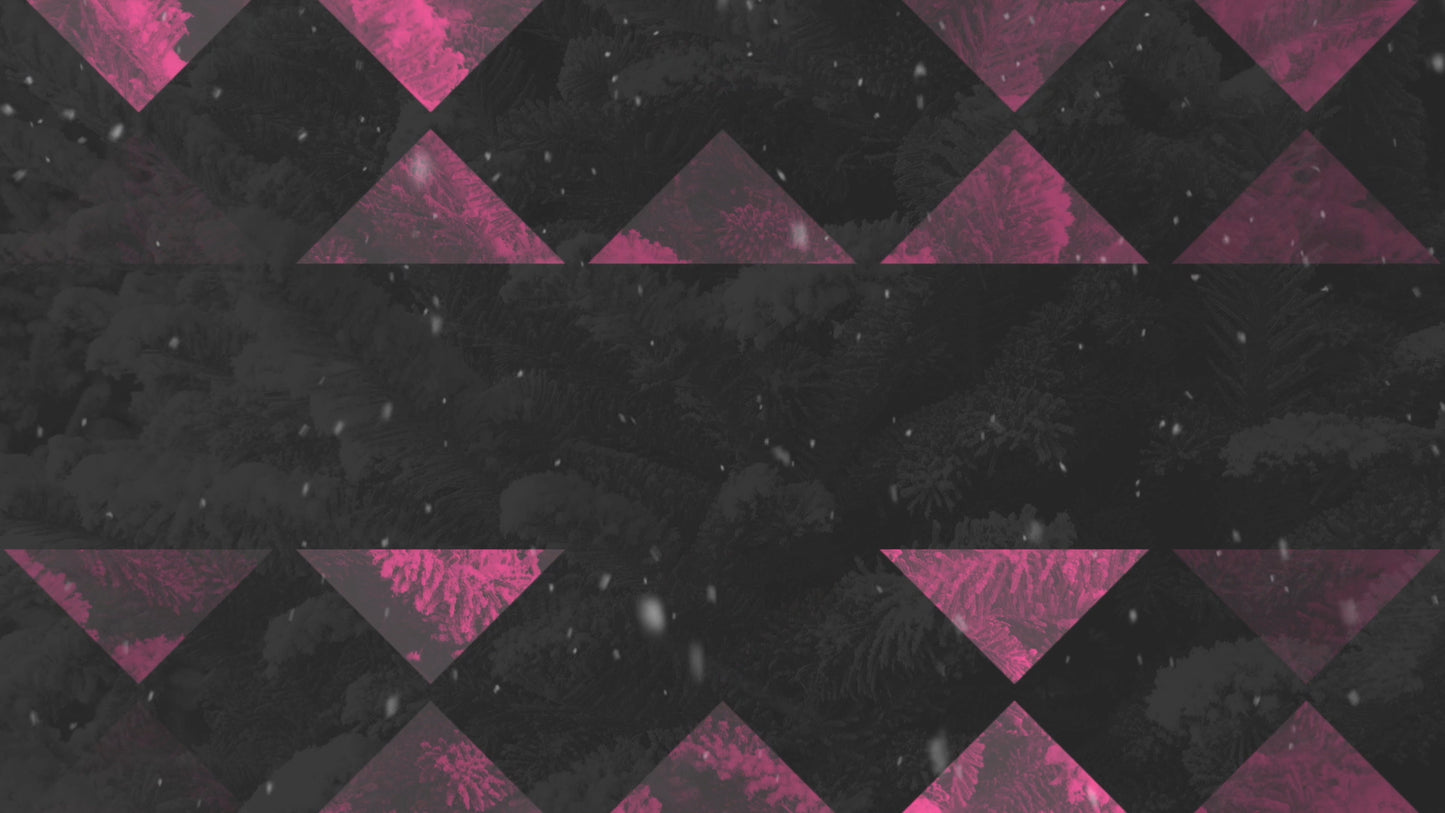 Modern Winter Trees 12