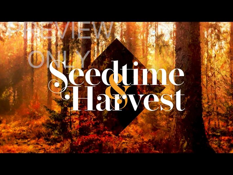 Autumn Vibes Title Graphic 2