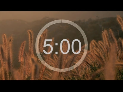 Fields Countdown