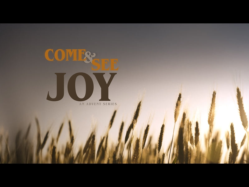 Come And See Joy