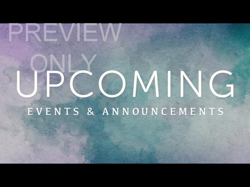 Summer Canvas Upcoming Still