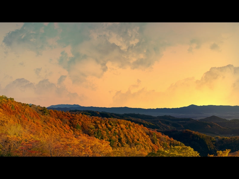 Wilderness Fall 6