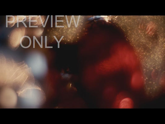 Glory And Wonder Still 02