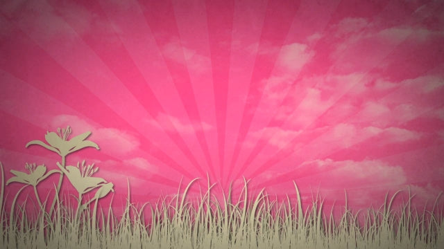 Pink Floral 03