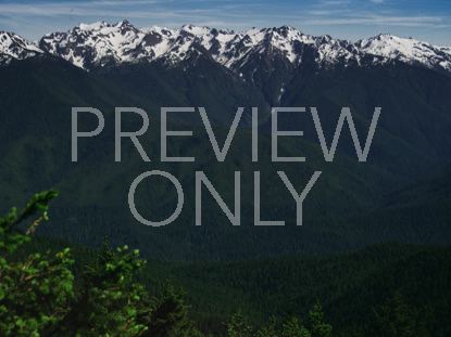 Mountain Pines Majestic Peaks