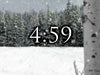 Forest Countdown
