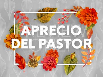 Colors Of Fall Pastor Appreciation Still -