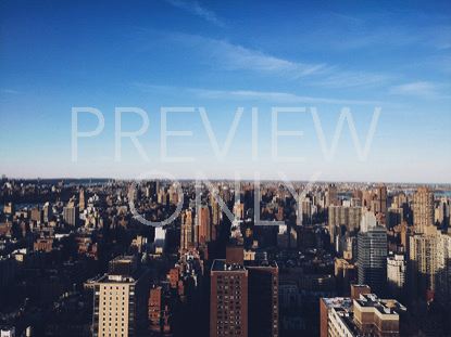 Nyc View