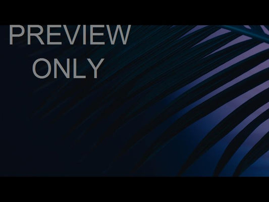 Cinematic Palms Still 28
