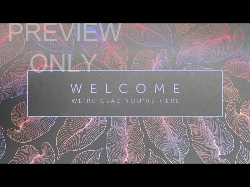 Tropical Night Welcome Still