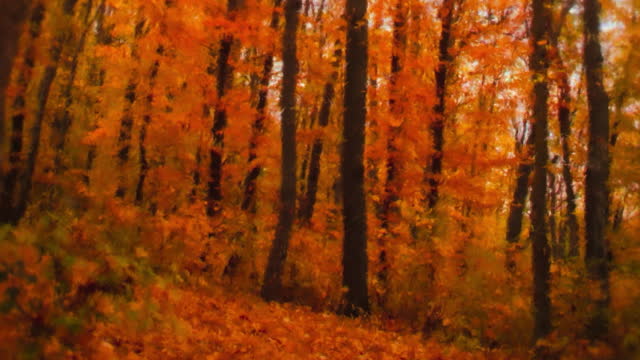 Autumn Vibes 4