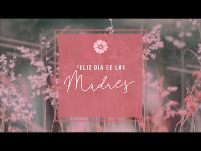 Dia De Las Madres Loop