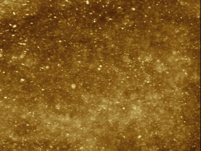 New Year Sparkle Gold