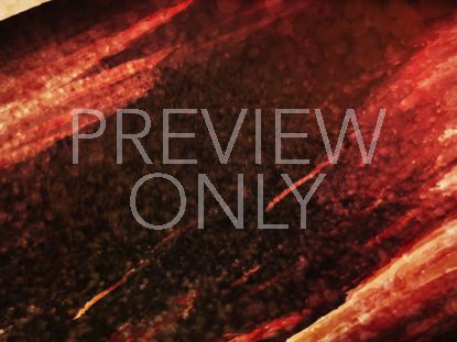 Color Dynamics Still 7