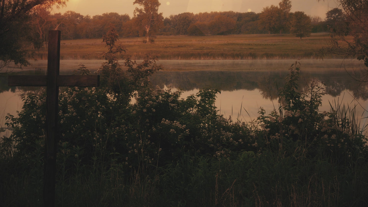 Nature Cross 2