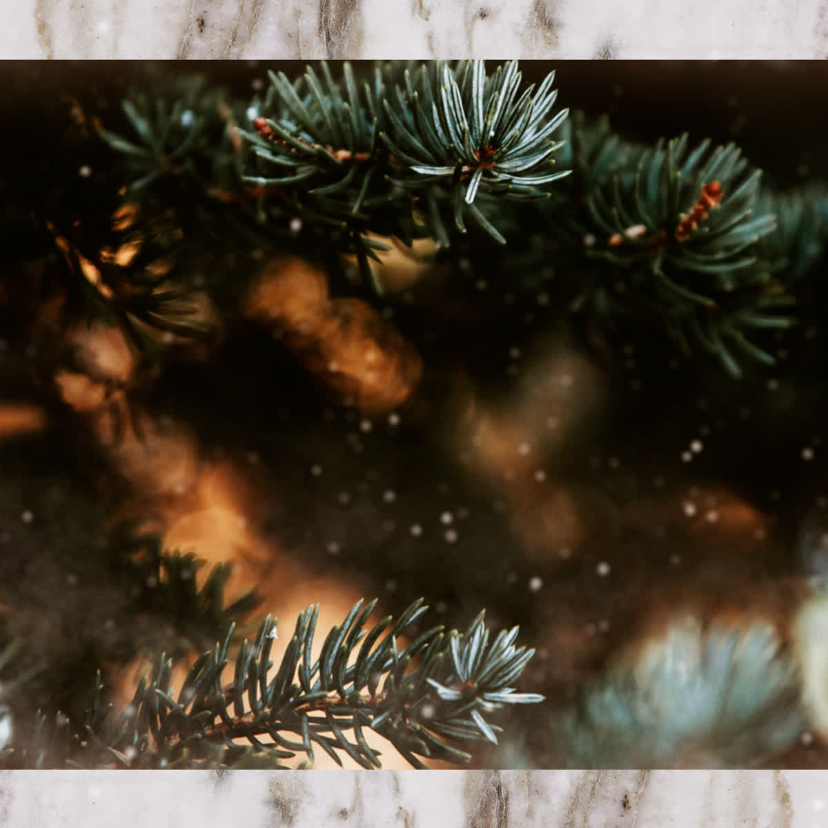 Evergreen Title Blank