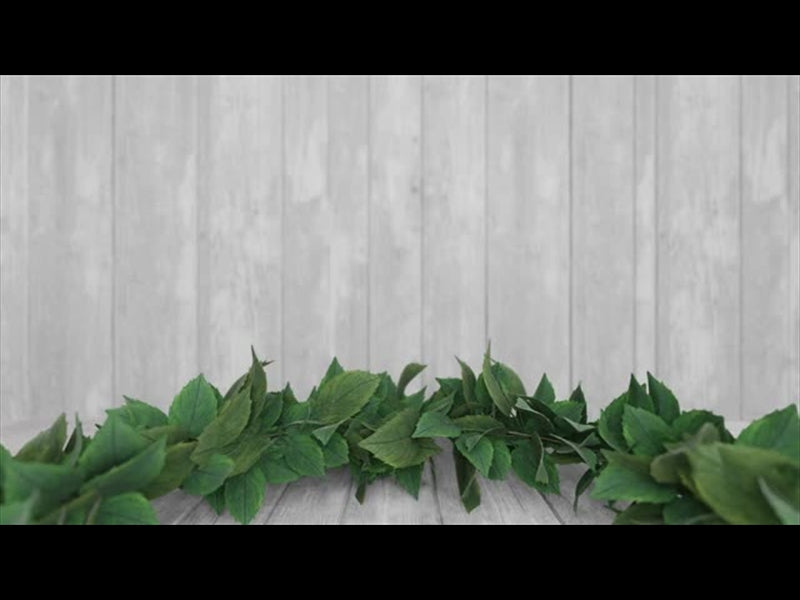 Summer Wreath 5c