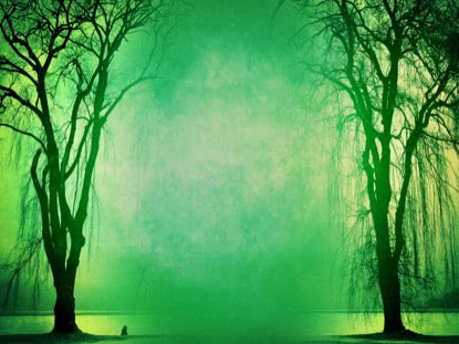 Autumn Forest 6 Motion