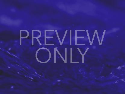 Torrent Purple