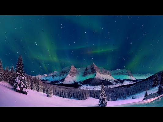 Christmas Snow 10