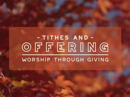 Fall Focus Offering