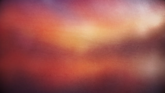 Summer Textures 1