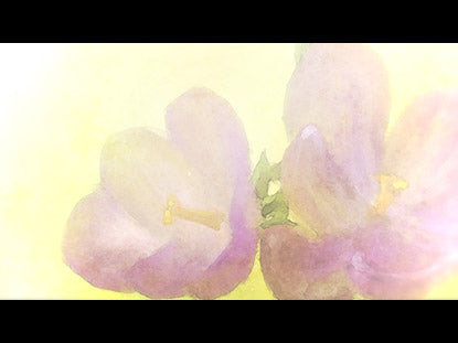 Maternal Eternal Still 3