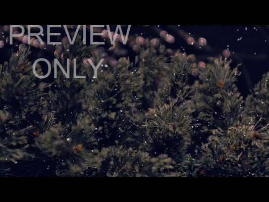 Christmas Tree 4 Still