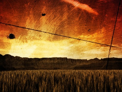 Harvest Field Sunset