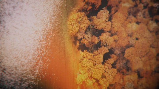 Aerial Journey 4 Still