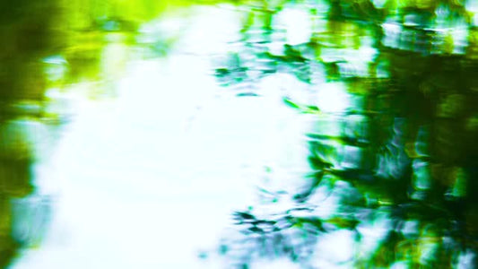 Living Waters 08