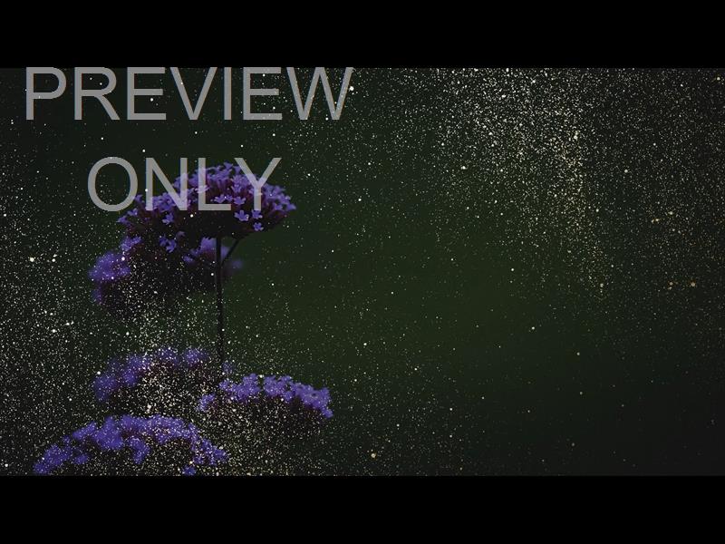 Ebony Floral: Still 05