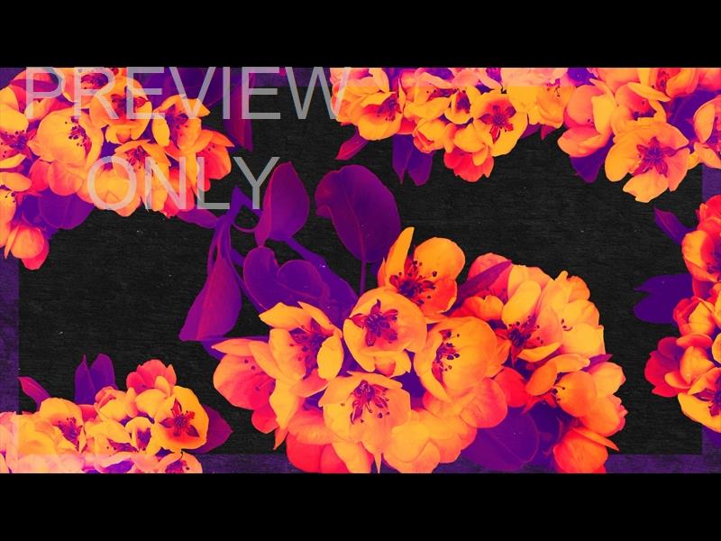 Bold Blooms Still 01