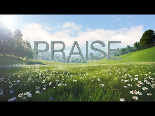 Praise At All Times